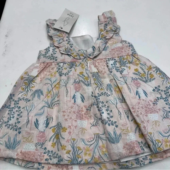 NWT Joie Toddler Girls Pink Floral Dress ruffles Lined 100% Cotton Sz 18 Months - Picture 2 of 11